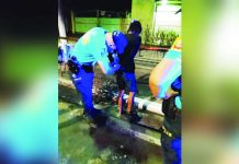 A suspect allegedly caught cutting metal railings along the sidewalk in front of Negros Occidental High School was taken into custody by authorities in Bacolod City. The suspect was apprehended by Public Order and Safety Office personnel early Sunday, September 13. BCCO PHOTO