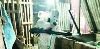 The Bacolod City Veterinary Office disinfected identified “ground zero” areas, including backyard swine farms affected by African swine fever (ASF), as part of efforts to contain the spread of the disease. BACOLOD CVO PHOTO