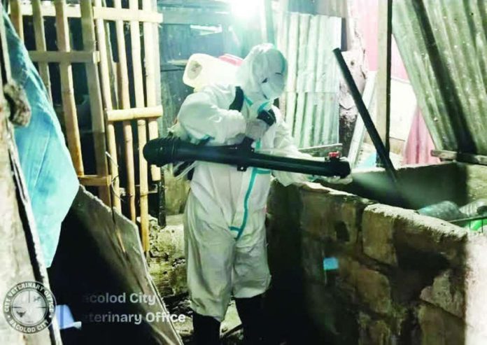 The Bacolod City Veterinary Office disinfected identified “ground zero” areas, including backyard swine farms affected by African swine fever (ASF), as part of efforts to contain the spread of the disease. BACOLOD CVO PHOTO