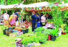 Capiz hosts first 3-day slow food pop-up earth market Residents and consumers purchased locally produced food and other goods during the first Slow Food Pop-up Earth Market held at The Plant Farm in Pueblo de Panay, Roxas City, Capiz, from September 10 to 12, 2026. The three-day event brought together small-scale producers and food artisans from Capiz, Iloilo and Aklan. CAPIZ PROV’L GOV’T COMMUNICATIONS GROUP PHOTO