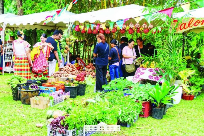 Capiz_market_copy_compressed_resized Residents and consumers purchased locally produced food and other goods during the first Slow Food Pop-up Earth Market held at The Plant Farm in Pueblo de Panay, Roxas City, Capiz, from September 10 to 12, 2026. The three-day event brought together small-scale producers and food artisans from Capiz, Iloilo and Aklan. CAPIZ PROV’L GOV’T COMMUNICATIONS GROUP PHOTO