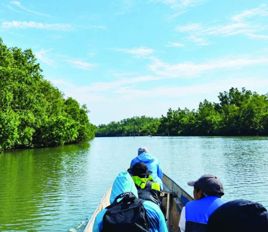 DENR-Capiz seeks protected status for Gabuc Wetland after record waterbird count The lush mangrove forests of Gabuc Wetland in Pontevedra, Capiz (left), provide a vital habitat for waterbirds, including the White-collared Kingfisher (right). DENR-Capiz is pushing for the wetland's formal declaration as a protected area to safeguard its rich biodiversity and coastal ecosystem. DENR-CAPIZ PHOTOS