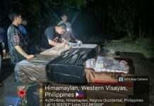 Authorities document the suspected smuggled cigarettes worth approximately P10.2 million seized during a joint law enforcement operation in Himamaylan City, Negros Occidental, on September 28, 2026. One suspect was arrested, while two others remain at large. PRO-NIR PHOTO