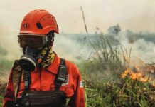 Toxic wildfire haze spreads across Southeast Asia A person in firefighting uniform, helmet and gas mask stands amid smoke in front of flaming grass. As wildfires worsen across large parts of Indonesia, a noxious haze is choking the region. GETTY IMAGES