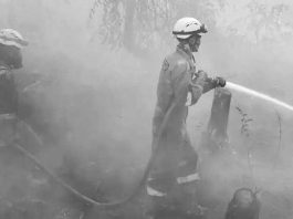 Over 170K respiratory cases in haze-choked Indonesia Two firefighters in bright orange uniform and helmets, standing outdoors in thick white haze, spray water from a hose in Indonesia. GETTY IMAGES