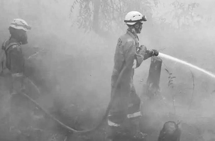 Over 170K respiratory cases in haze-choked Indonesia Two firefighters in bright orange uniform and helmets, standing outdoors in thick white haze, spray water from a hose in Indonesia. GETTY IMAGES