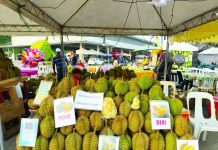 The Philippines logged more than US$222.75 million in booked sales and more than US$70.39 million in sales under negotiation for various high-value crops, including durian, banana, mangoes, and dragon fruit. KAJUANDER/SPECIALTYPRODUCE.COM PHOTO