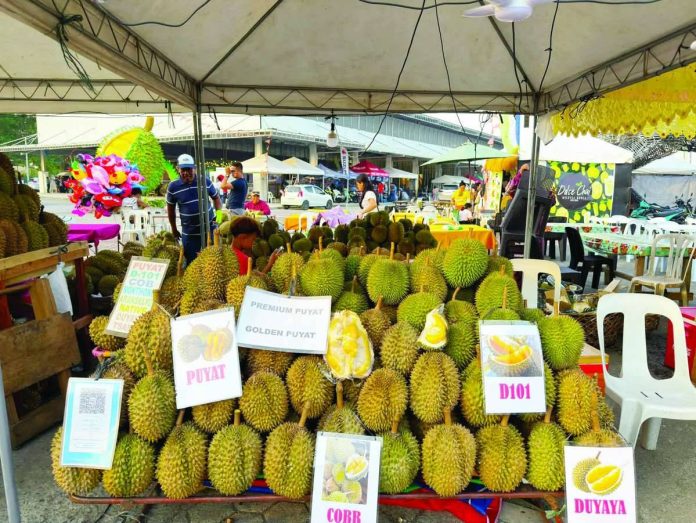 PH_exporters1_compressed_resized The Philippines logged more than US$222.75 million in booked sales and more than US$70.39 million in sales under negotiation for various high-value crops, including durian, banana, mangoes, and dragon fruit. KAJUANDER/SPECIALTYPRODUCE.COM PHOTO