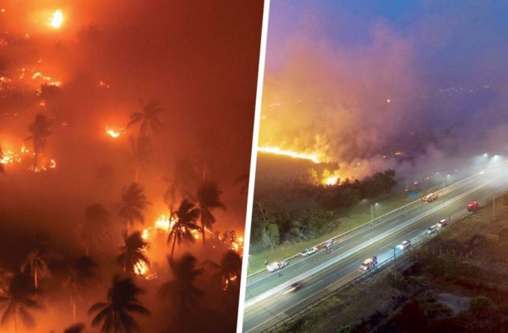 INDONESIAN HAZE REACHES ILOILO: EMB-6 confirms smoke in Miag-ao; UPV orders mask precaution as authorities warn of health risks Forest fires engulf terrain in West Kalimantan, Indonesia, sending transboundary haze across the region and reaching parts of the Philippines, including Miag-ao, Iloilo, on Tuesday, Sept. 1, 2026. Iloilo’s disaster response and environmental officials advise the public to wear protective face masks and reduce outdoor activity due to potential health risks from deteriorating air quality. WIRE PHOTO VIA REUTERS / ASSOCIATED PRESS