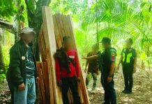 Antique province logged the largest volume of illegal forest product seizures, where two separate operations yielded P525,075 worth of illegal timbers and led to the arrest of three suspects. PHOTO COURTESY OF PRO-6