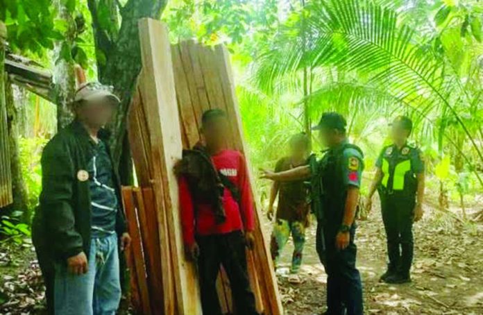 forest_products.JPG_resized Antique province logged the largest volume of illegal forest product seizures, where two separate operations yielded P525,075 worth of illegal timbers and led to the arrest of three suspects. PHOTO COURTESY OF PRO-6