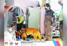 Illegal drugs, paraphernalia seized in joint jail raid in Pototan A Philippine Drug Enforcement Agency K9 team inspects a dormitory area under the supervision of Bureau of Jail Management and Penology Region 6 officers led by regional director Jail Chief Supt. Elena B. Rocamora. The joint greyhound operation at the Iloilo District Jail Male Dormitory and its annex targeted illegal contraband to strengthen jail security and ensure a safe environment for both personnel and inmates. BJMP REGION 6 PHOTO