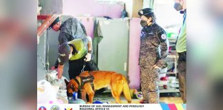 A Philippine Drug Enforcement Agency K9 team inspects a dormitory area under the supervision of Bureau of Jail Management and Penology Region 6 officers led by regional director Jail Chief Supt. Elena B. Rocamora. The joint greyhound operation at the Iloilo District Jail Male Dormitory and its annex targeted illegal contraband to strengthen jail security and ensure a safe environment for both personnel and inmates. BJMP REGION 6 PHOTO
