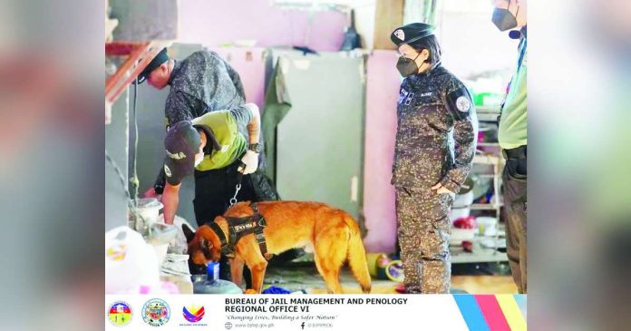 greyhound ops_compressed_superimposed A Philippine Drug Enforcement Agency K9 team inspects a dormitory area under the supervision of Bureau of Jail Management and Penology Region 6 officers led by regional director Jail Chief Supt. Elena B. Rocamora. The joint greyhound operation at the Iloilo District Jail Male Dormitory and its annex targeted illegal contraband to strengthen jail security and ensure a safe environment for both personnel and inmates. BJMP REGION 6 PHOTO
