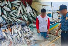 PRO-6 nets seven fishermen, P642K worth of fishing gear Photo courtesy of the PNP Police Regional Office 6