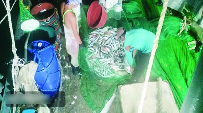 illegal_fishing_copy_compressed_resized Personnel of the Panay Municipal Police Station and the Panay Municipal Environment and Natural Resources Office seized 150 kilograms of assorted fish with an estimated market value of P30,000 during an anti-illegal fishing operation on September 17 off the coast of Panay, Capiz. PHOTO COURTESY OF PRO-6