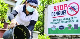 Amid the continuing increase in dengue cases, the Iloilo Provincial Health Office reiterates its “search and destroy” strategy, urging residents to regularly inspect their homes and surroundings and eliminate stagnant water and other potential breeding sites of Aedes aegypti mosquitoes. PN PHOTO