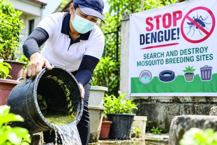 Amid the continuing increase in dengue cases, the Iloilo Provincial Health Office reiterates its “search and destroy” strategy, urging residents to regularly inspect their homes and surroundings and eliminate stagnant water and other potential breeding sites of Aedes aegypti mosquitoes. PN PHOTO