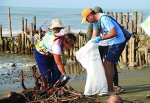 3.76 tons of garbage cleared from Oton shores Volunteers collect trash and other debris along the shoreline of Oton, Iloilo during a cleanup drive on September 19. The activity mobilized 1,157 volunteers across six coastal barangays and yielded 403 sacks of waste weighing 3,760.8 kilograms. DENR-6