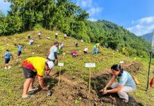 GROWING A GREENER ILOILO. Participants plant seedlings along the contours of the uplands of Barangay Balabag, Anilao, Iloilo during the 27th Piyesta sa Kakahuyan on Sept. 19, 2026. Around 2,000 seedlings were planted as part of the provincial government’s TANUM Iloilo Program, which has planted nearly eight million trees since 2021 in pursuit of Iloilo’s goal of becoming a “Forest Province” by 2044. PGENRO-PROVINCE OF ILOILO PHOTO