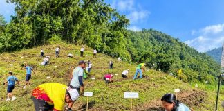 GROWING A GREENER ILOILO. Participants plant seedlings along the contours of the uplands of Barangay Balabag, Anilao, Iloilo during the 27th Piyesta sa Kakahuyan on Sept. 19, 2026. Around 2,000 seedlings were planted as part of the provincial government’s TANUM Iloilo Program, which has planted nearly eight million trees since 2021 in pursuit of Iloilo’s goal of becoming a “Forest Province” by 2044. PGENRO-PROVINCE OF ILOILO PHOTO