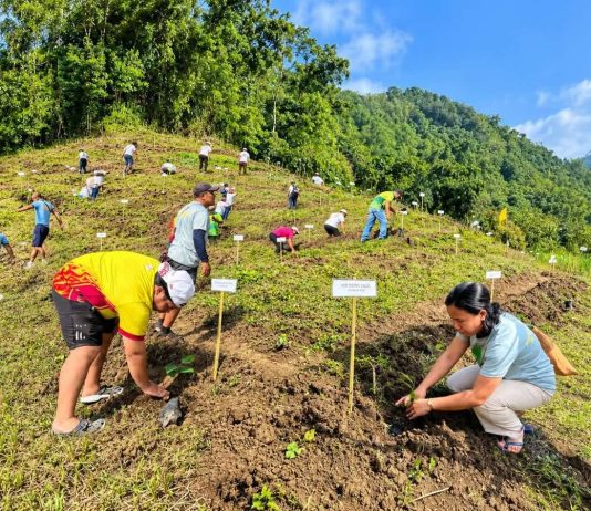 8M TREES PLANTED; WILL THEY SURVIVE? Iloilo races toward 2044 āForest Provinceā goal as survival rate stands at 45% GROWING A GREENER ILOILO. Participants plant seedlings along the contours of the uplands of Barangay Balabag, Anilao, Iloilo during the 27th Piyesta sa Kakahuyan on Sept. 19, 2026. Around 2,000 seedlings were planted as part of the provincial governmentās TANUM Iloilo Program, which has planted nearly eight million trees since 2021 in pursuit of Iloiloās goal of becoming a āForest Provinceā by 2044. PGENRO-PROVINCE OF ILOILO PHOTO