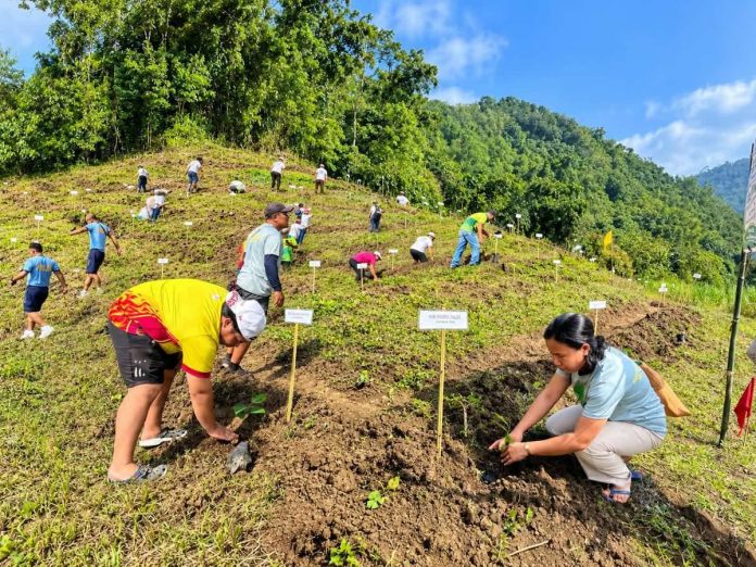 GROWING A GREENER ILOILO. Participants plant seedlings along the contours of the uplands of Barangay Balabag, Anilao, Iloilo during the 27th Piyesta sa Kakahuyan on Sept. 19, 2026. Around 2,000 seedlings were planted as part of the provincial government’s TANUM Iloilo Program, which has planted nearly eight million trees since 2021 in pursuit of Iloilo’s goal of becoming a “Forest Province” by 2044. PGENRO-PROVINCE OF ILOILO PHOTO
