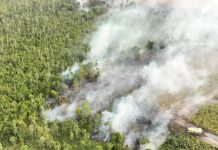 Haze from Indonesian wildfires prompts health advisories in Capiz Photo courtesy of AP