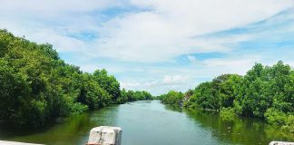 The Batiano River originates in the Iloilo-Batiano River Basin in Oton, Iloilo and flows to Iloilo City through Molo district, then empties into the Iloilo Strait. Photo shows the Batiano River as seen in Molo. WIKIPEDIA PHOTO