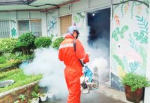 Negros Occidental records 13 dengue deaths despite 34% drop in cases The Bacolod City Health Office conducts fogging inside a public school campus in this file photo as part of the measures to fight dengue. Bacolod logged 666 dengue cases as of Morbidity Week 36, covering Sept. 6 to 12, 2026. PHOTO COURTESY OF BACOLOD CITY HEALTH OFFICE