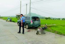 PRO-6 nets 85 loose guns in 24-hour drive