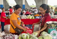 P77-M food aid reaches WV families; Iloilo accounts for bulk of beneficiaries Photo courtesy of DSWD Western Visayas