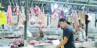 Pork prices unlikely to rise in Christmas due to enough supply — DA Data from the Philippine Statistics Authority showed that an average retail price of P290.85 per kilogram at the national level was reported for fresh pork, meat with bones during the first half of October 2026. PN FILE PHOTO