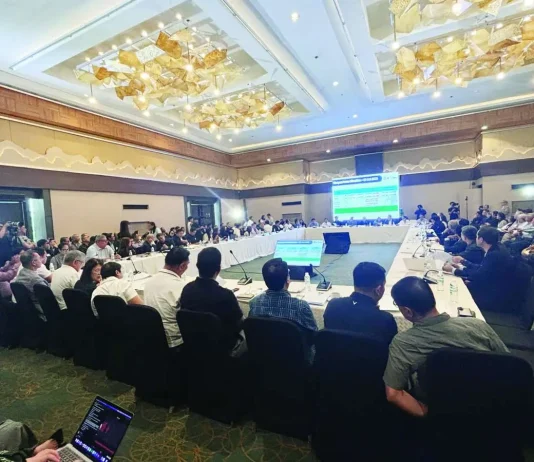 DOE admits planning failure as Visayas power gap deepens Lawmakers from the House Committees on Energy, Visayas Development, and Legislative Franchises convene a joint public hearing in Bacolod City on Oct. 3, 2026 to investigate recurring power outages and grid instability affecting the Visayas. MAE SINGUAY/PN