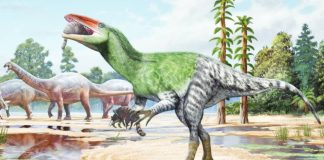 This is a computer-generated image of a dinosaur eating small mammals at a watering hole. Invictibellatrix amberina is thought to have lived in the Early Cretaceous period about 120 million years ago. SERGEY KRASOVSKIY AND PEDRO SALAS