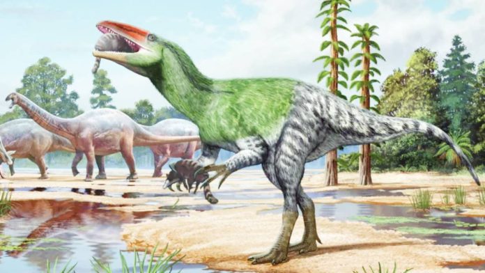 This is a computer-generated image of a dinosaur eating small mammals at a watering hole. Invictibellatrix amberina is thought to have lived in the Early Cretaceous period about 120 million years ago. SERGEY KRASOVSKIY AND PEDRO SALAS