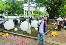 Gasataya to TIEZA: ‘Trabaho lang, walang personalan’ over Bacolod plaza redevelopment Workers from the Bacolod City Government plant grass in portions of the Bacolod Public Plaza to restore areas damaged during the ongoing redevelopment project being implemented by the national government. MAE SINGUAY/PN PHOTO