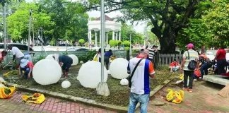 Workers from the Bacolod City Government plant grass in portions of the Bacolod Public Plaza to restore areas damaged during the ongoing redevelopment project being implemented by the national government. MAE SINGUAY/PN PHOTO