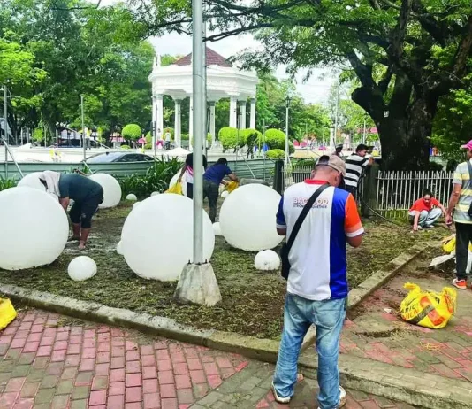 Gasataya to TIEZA: ‘Trabaho lang, walang personalan’ over Bacolod plaza redevelopment Workers from the Bacolod City Government plant grass in portions of the Bacolod Public Plaza to restore areas damaged during the ongoing redevelopment project being implemented by the national government. MAE SINGUAY/PN PHOTO