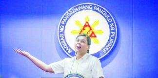 Discussions about who might replace Vice President Sara Duterte-Carpio are premature and divert public attention from fundamental legal questions surrounding the impeachment proceedings, according to her spokesperson, Atty. Salvador Paolo Panelo Jr.