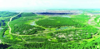 The Island Beyond the Mine: SMPC’s Landscape of Renewal South Panian, a former mine site, has now become a developing biodiversity hub, with more than 401,260 surviving trees and an expanding population of birds and other wildlife.