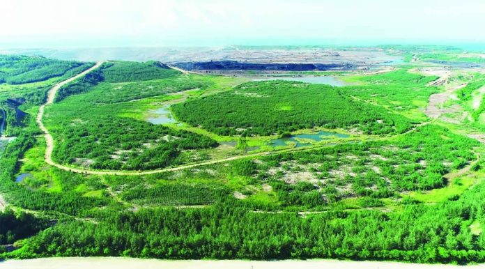 South Panian, a former mine site, has now become a developing biodiversity hub, with more than 401,260 surviving trees and an expanding population of birds and other wildlife.