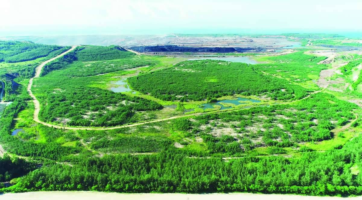 The Island Beyond the Mine: SMPC’s Landscape of Renewal