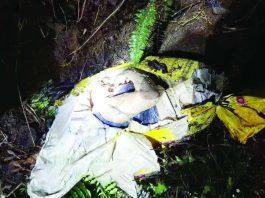 Woman’s body found in sack in Talisay; 2 suspects arrested The body of a 33-year-old woman, identified as alias Jenalyn, was found inside a sack at a gamefowl farm in Barangay Dos Hermanas, Talisay City, Negros Occidental, on October 13. Police arrested two men in connection with the killing, with investigators continuing forensic examinations to establish the circumstances of the crime. PRO-NIR PHOTO