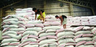 PH rice industry group eyes 200,000 MT of US rice yearly by 2028 The Philippine Rice Industry Stakeholders Movement could procure 100,000 metric tons (MT) of bagged or bulk rice from the United States in 2027, with the volume increasing to 200,000 MT annually beginning in 2028. GMA FILE PHOTO