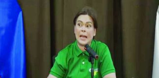 Vice President Sara Duterte-Carpio on Tuesday branded dismissed policeman Rudolfo Gracioso as someone “paid” to destroy her reputation. During a press conference here, Duterte-Carpio said Gracioso was only out to settle a score with former House Speaker Lord Allan Velasco, supposedly over money, and it was unfortunate that she was dragged into it.