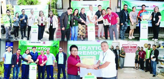 banner_pic_compressed_resized Officials from MORE Electric and Power Corporation (MORE Power) lead a series of migration ceremonies across two Iloilo towns, marking key milestones in the utility’s provincial expansion. Highlighting the transition is the Pavia Municipal Hall, which became the first local government unit to officially switch to MORE Power on Oct. 26. Joining the shift are the Commission on Population and Development, alongside New Panay Agri-Ventures Development Inc., both in Pavia, and Egger Poultry Farm Incorporated in San Miguel, Iloilo.