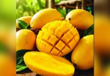 The Philippine delegation, composed of local fruit producers and growers, marked the country's return to the Asia Fruit Logistica 2026 in Hong Kong after nearly a decade. The Department of Agriculture says the country’s high-value export crops remain among the most sought-after produce in international markets. GMA NEWS FILE PHOTO