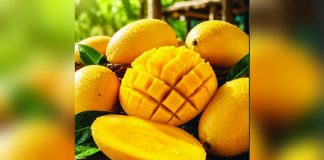 PH delegation secures $17.5M in export sales at Hong Kong trade show The Philippine delegation, composed of local fruit producers and growers, marked the country's return to the Asia Fruit Logistica 2026 in Hong Kong after nearly a decade. The Department of Agriculture says the country’s high-value export crops remain among the most sought-after produce in international markets. GMA NEWS FILE PHOTO
