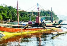 P222,500 in fishing assets seized in Iloilo sea patrol This motorized fishing boat worth P150,000 was intercepted by the Iloilo Provincial Bantay Dagat Task Force during a seaborne patrol in the municipal waters of San Dionisio for engaging in illegal ring net fishing, locally known as sensuro. Also seized were fishing gear and catch with a combined estimated value of P222,500. PHOTO FROM PROVINCIAL ADMINISTRATOR RAUL BANIAS